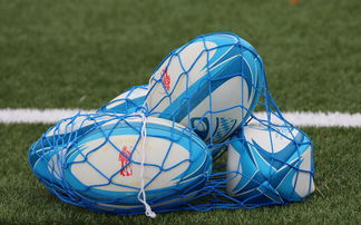 九游娱乐下载-法国橄榄球赛事的票房和赞助收入创历史新高，法国橄榄球国家队